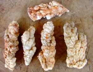 Group of 5 Stalactite Kokoweef Cave Onyx Speleothems from California