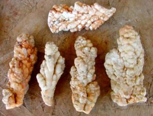 Group of 5 Stalactite Kokoweef Cave Onyx Speleothems from California