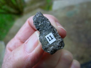 Rare Specimen of NC Emerald Matrix from the Crabtree Emerald Mine