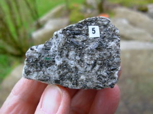 Rare Specimen of NC Emerald Matrix from the Crabtree Emerald Mine