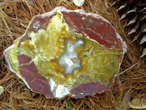 Rare XL Black Rock Desert Thunderegg Polished Half