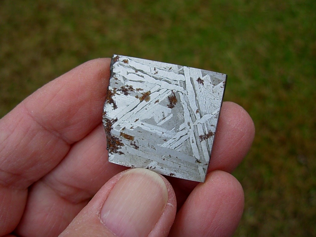 20.5g Brenham Siderite/Pallasite