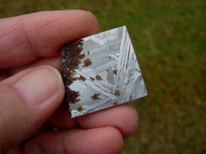20.5g Brenham Siderite/Pallasite