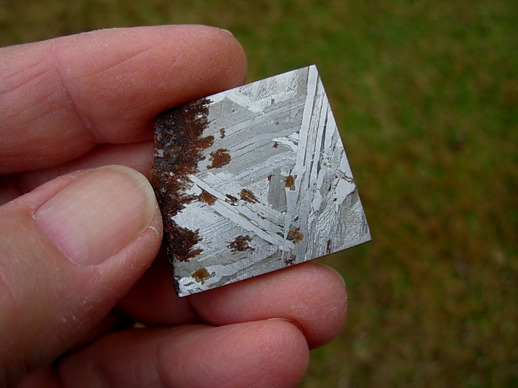 20.5g Brenham Siderite/Pallasite