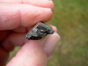 20g Muonionalusta Meteorite with 2 Sides Cut and Etched