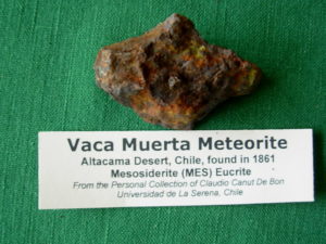 Vaca Muerta Mesosiderite 49g