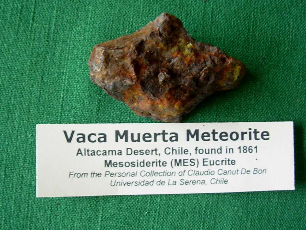Vaca Muerta Mesosiderite 49g