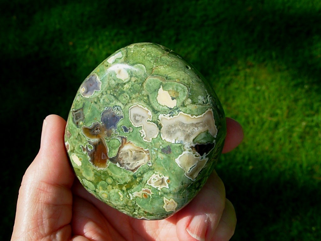 Polished Rain Forest Jasper Nodule from Australia