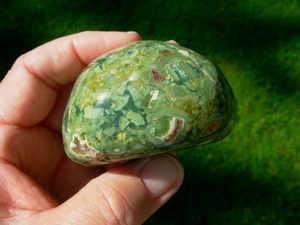 Polished Rain Forest Jasper Nodule from Australia