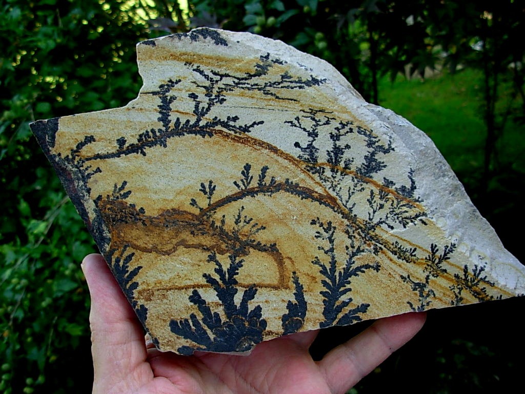 Dendrite Rhyolite from Utah