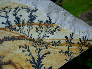 Dendrite Rhyolite from Utah