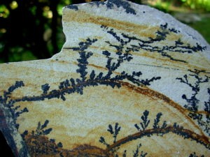 Dendrite Rhyolite from Utah