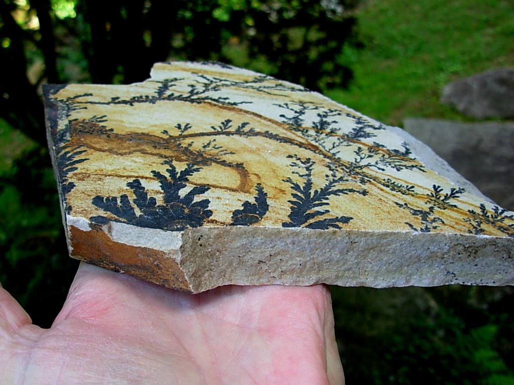 Dendrite Rhyolite from Utah
