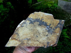 Dendrite Rhyolite from Utah
