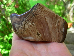 Polished Deschutes Jasper from Elkins Gem Stones