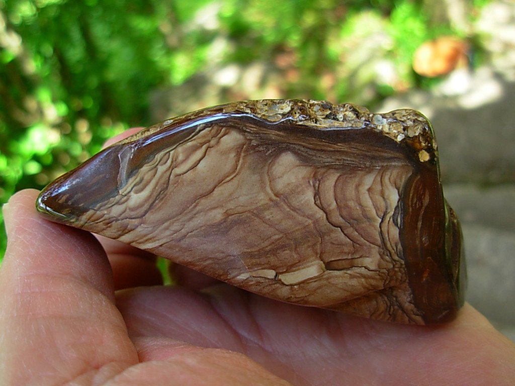 Polished Deschutes Jasper from Elkins Gem Stones