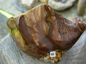 Polished Deschutes Jasper from Elkins Gem Stones