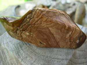 Polished Deschutes Jasper from Elkins Gem Stones