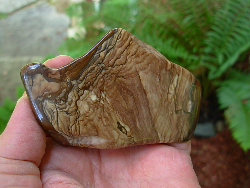 Polished Deschutes Jasper from Elkins Gem Stones