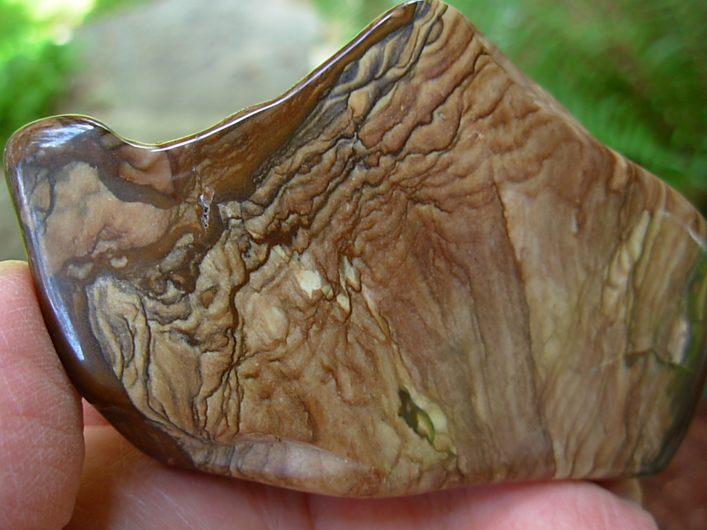 Polished Deschutes Jasper from Elkins Gem Stones