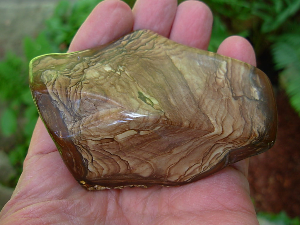 Polished Deschutes Jasper from Elkins Gem Stones