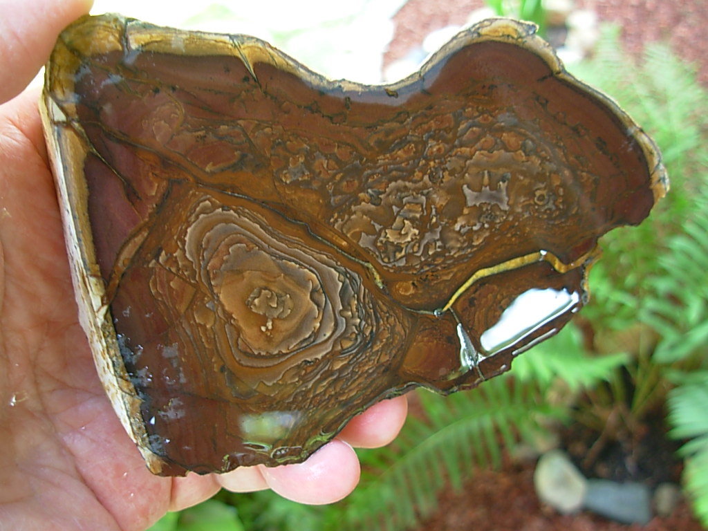 End Cut Deschutes Jasper from Elkins Gem Stones