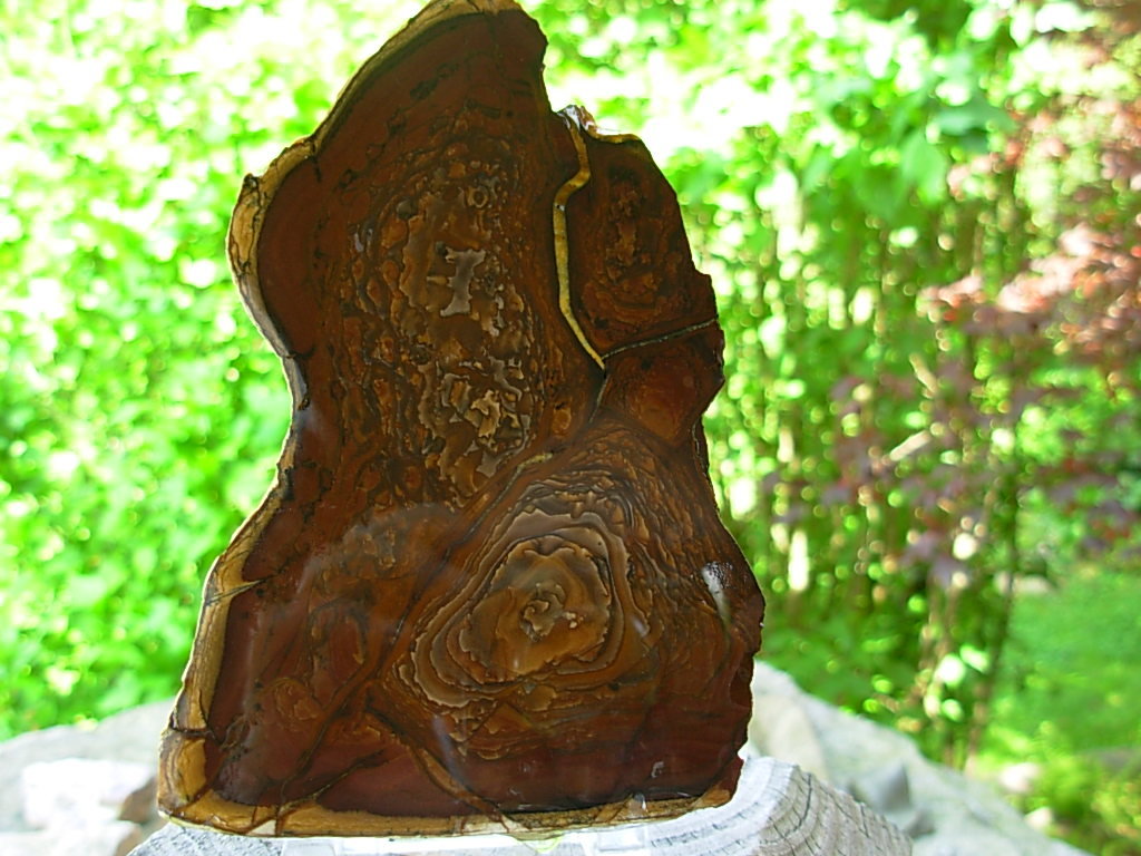 End Cut Deschutes Jasper from Elkins Gem Stones