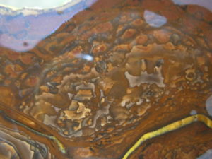 End Cut Deschutes Jasper from Elkins Gem Stones