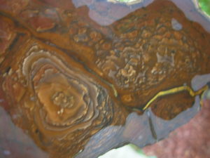 End Cut Deschutes Jasper from Elkins Gem Stones