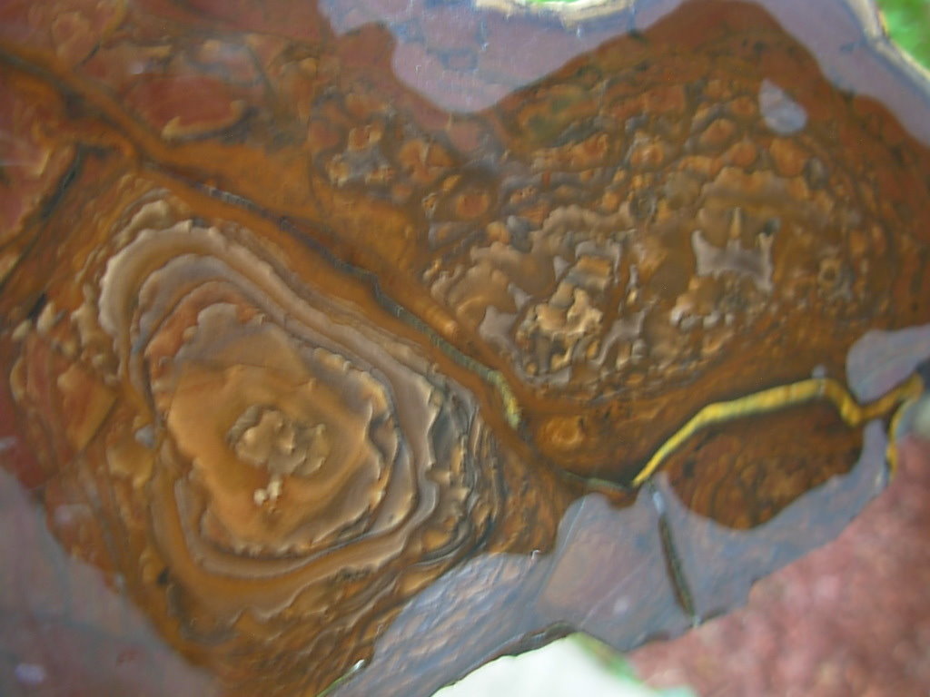 End Cut Deschutes Jasper from Elkins Gem Stones