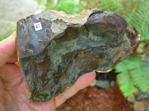 End Cut Deschutes Jasper from Elkins Gem Stones