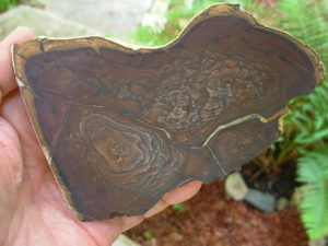 End Cut Deschutes Jasper from Elkins Gem Stones