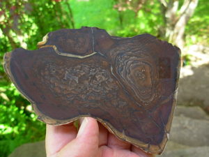 End Cut Deschutes Jasper from Elkins Gem Stones