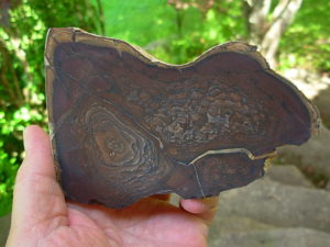 End Cut Deschutes Jasper from Elkins Gem Stones