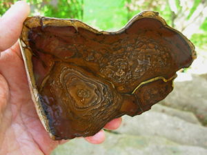 End Cut Deschutes Jasper from Elkins Gem Stones