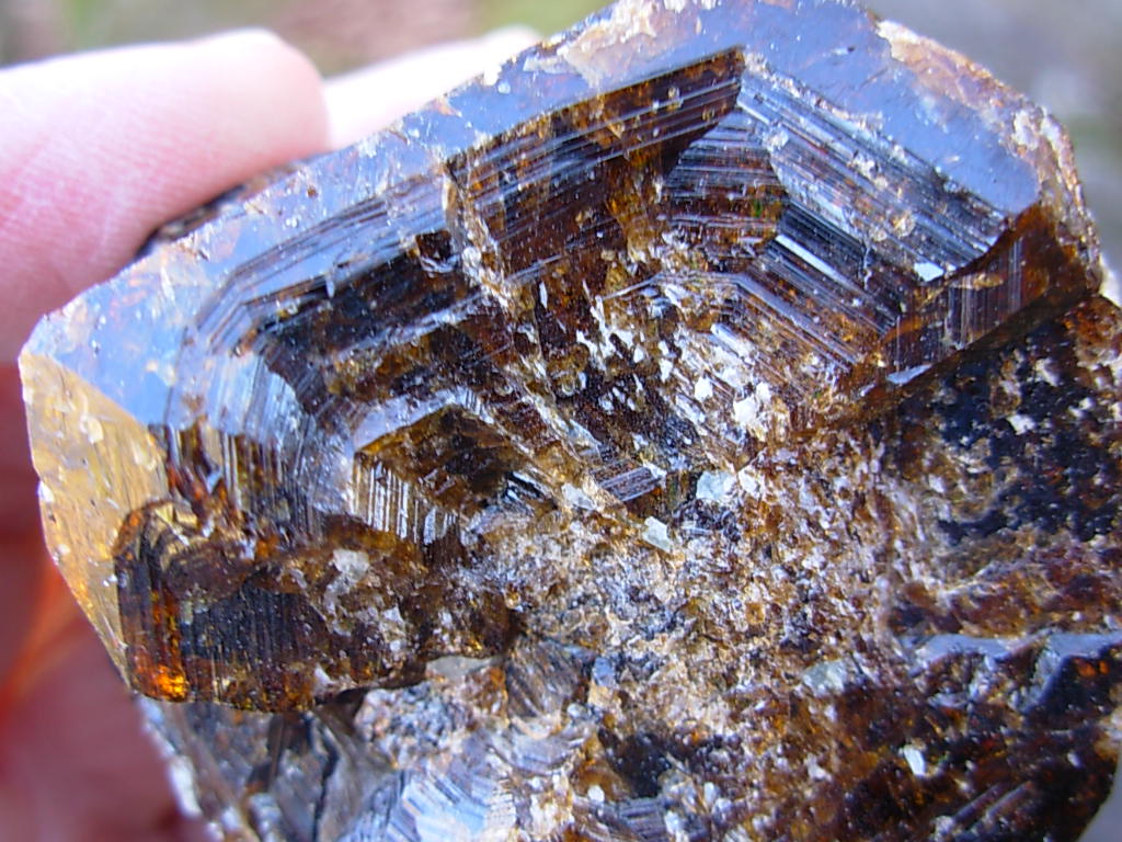 Rare Classic Large Dravite Tourmaline Crystals from Australia