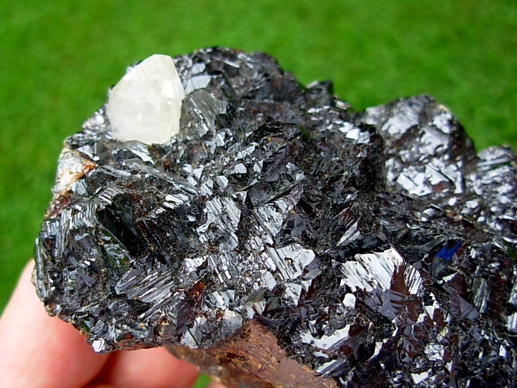 Old Stock 1960's Specimen Calcite on Sphalerite from the Elmwood Mine