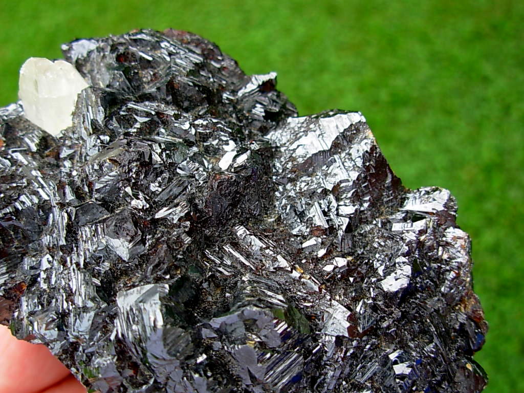 Old Stock 1960's Specimen Calcite on Sphalerite from the Elmwood Mine