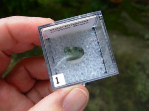 Raw Emerald Crystal