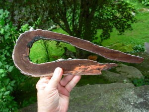 Float Copper