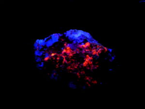 Fluorite in Matrix from Fluorite Ridge NM