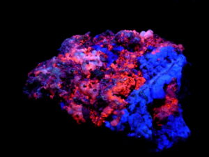 Fluorite in Matrix from Fluorite Ridge NM