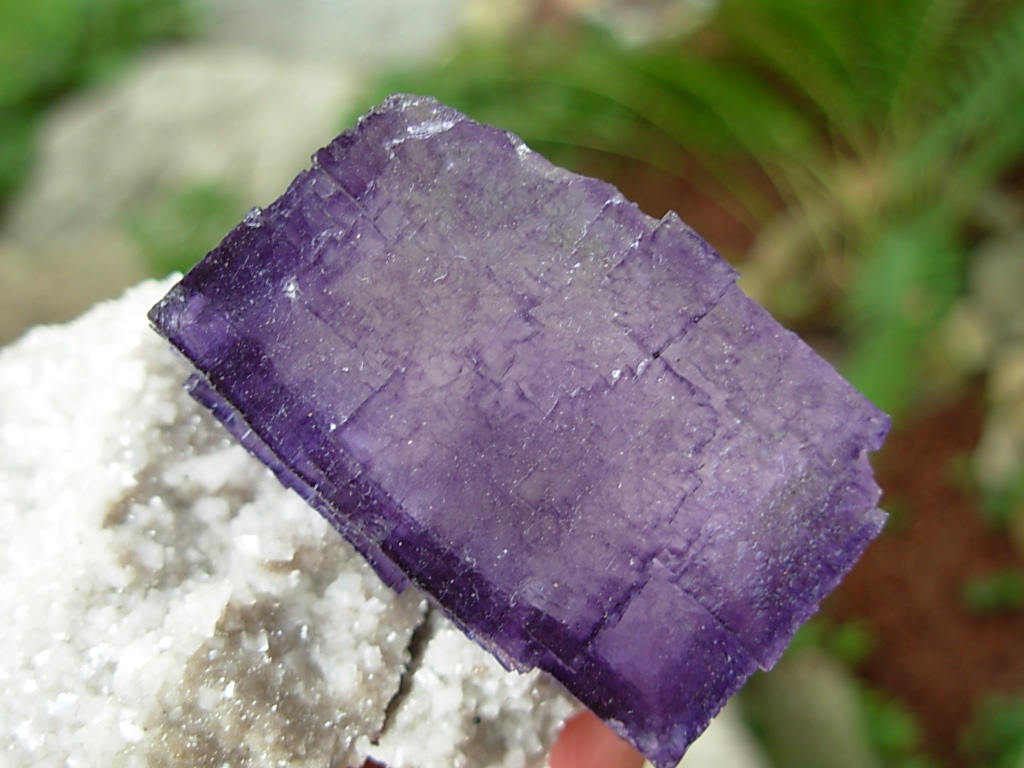 Zoned Purple Fluorite and Quartz on Dolomite from the Elmwood Mine