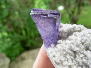 Zoned Purple Fluorite and Quartz on Dolomite from the Elmwood Mine