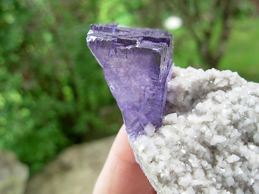 Zoned Purple Fluorite and Quartz on Dolomite from the Elmwood Mine