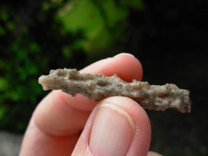 Fulgurite