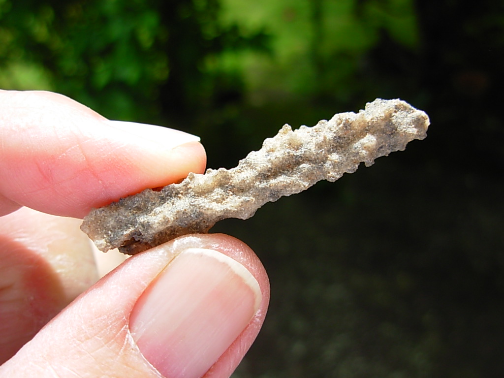 Lechatelierite Fulgurite from the Great Sand Sea in Egypt