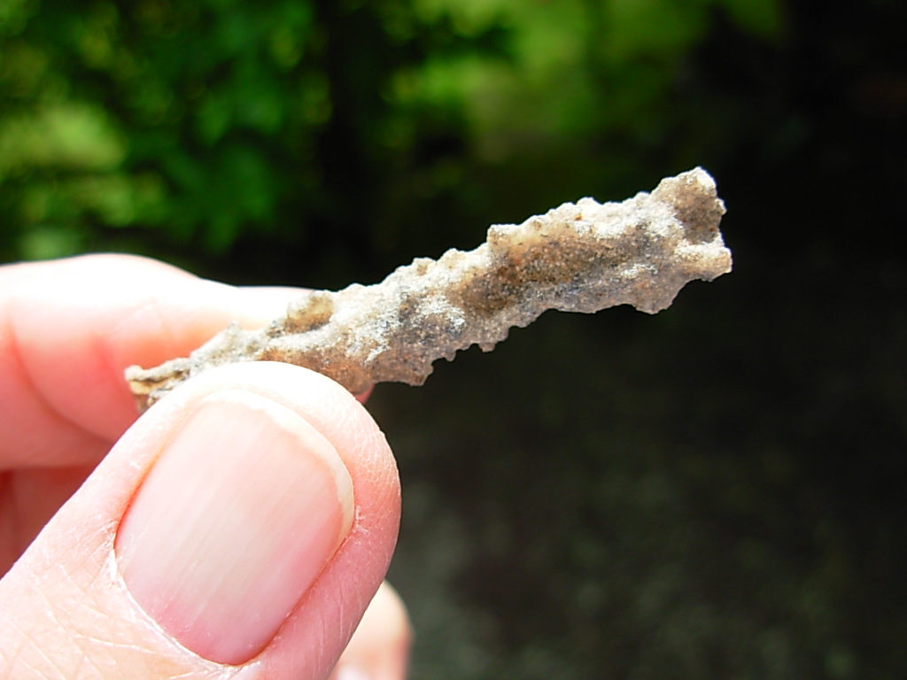Lechatelierite Fulgurite from the Great Sand Sea in Egypt