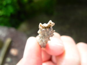 Lechatelierite Fulgurite from the Great Sand Sea in Egypt