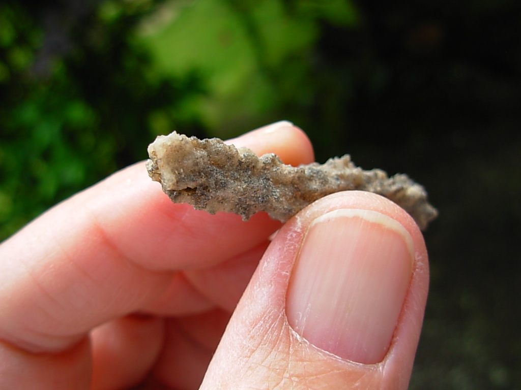Lechatelierite Fulgurite from the Great Sand Sea in Egypt